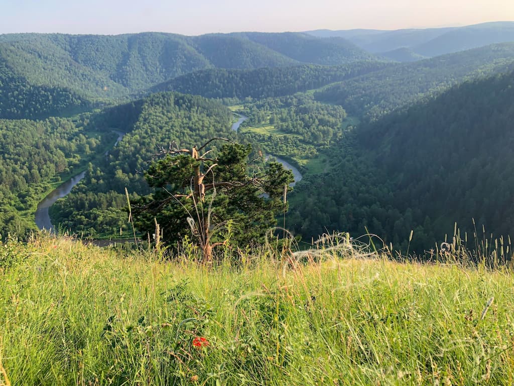 Есауловская петля
